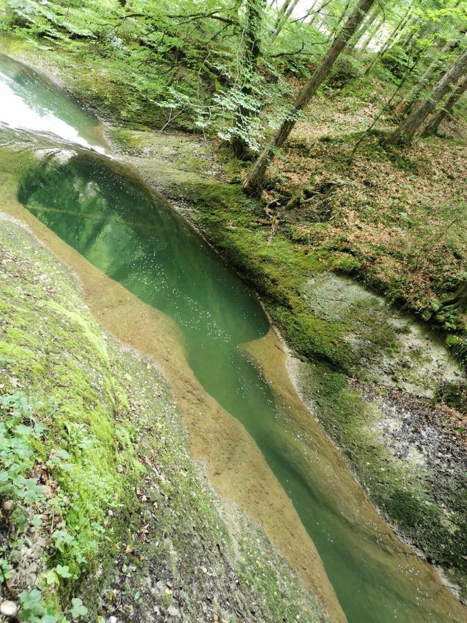 Ferienwohnung Nest Wangen im Allgäu Zewnętrze zdjęcie