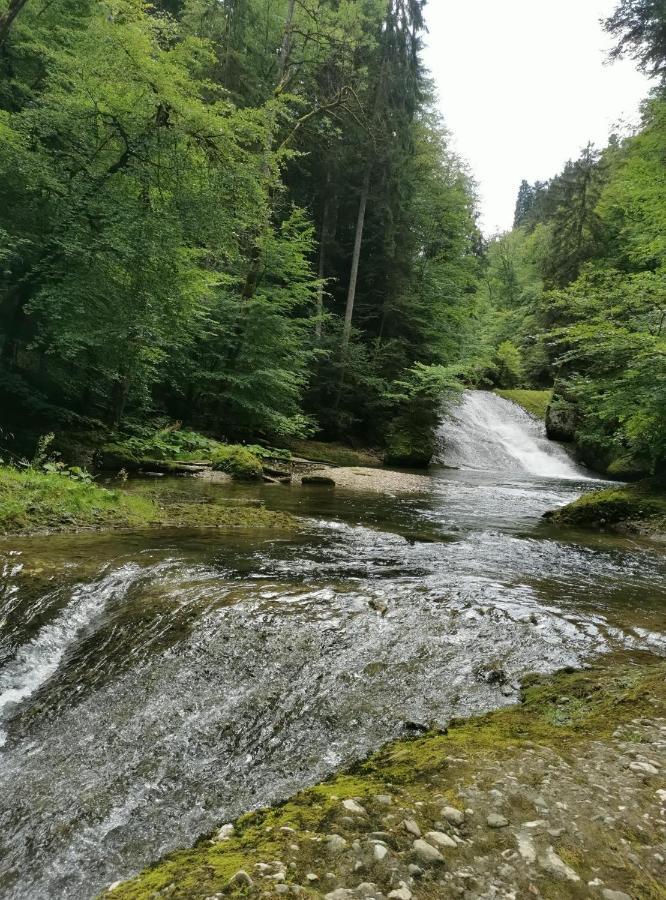 Ferienwohnung Nest Wangen im Allgäu Zewnętrze zdjęcie